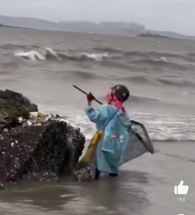 台风后生蚝遍地市民组团赶海登上网络热搜，这将产生哪些影响？