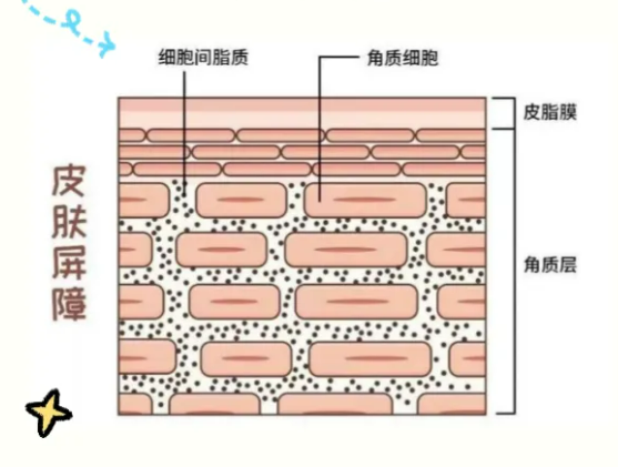 为什么洗完澡 感觉自己变好看了？四大原因