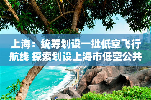 上海：统筹划设一批低空飞行航线 探索划设上海市低空公共航路“一张网”