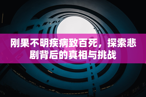 刚果不明疾病致百死，探索悲剧背后的真相与挑战