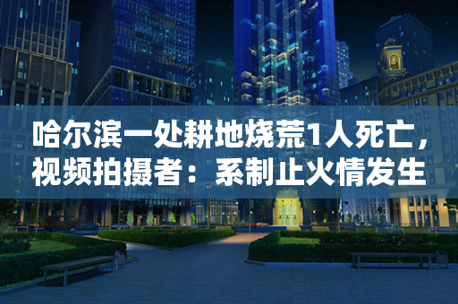 哈尔滨一处耕地烧荒1人死亡，视频拍摄者：系制止火情发生意外