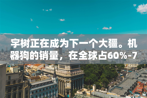 宇树正在成为下一个大疆。机器狗的销量，在全球占60%-70%的市场份额