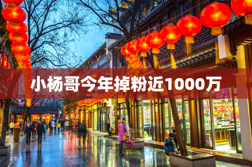 小杨哥今年掉粉近1000万