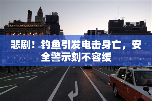 悲剧！钓鱼引发电击身亡，安全警示刻不容缓