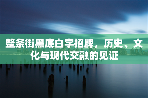 整条街黑底白字招牌，历史、文化与现代交融的见证