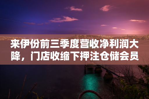 来伊份前三季度营收净利润大降，门店收缩下押注仓储会员店成败难料