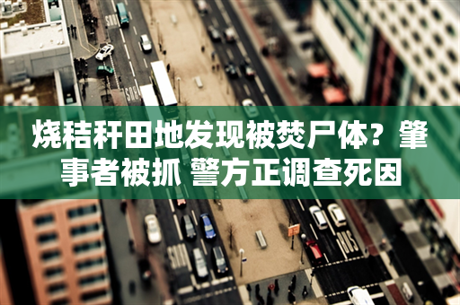 烧秸秆田地发现被焚尸体？肇事者被抓 警方正调查死因