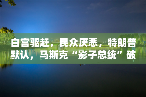 白宫驱赶，民众厌恶，特朗普默认，马斯克“影子总统”破灭，过河拆桥还是鸟尽弓藏？