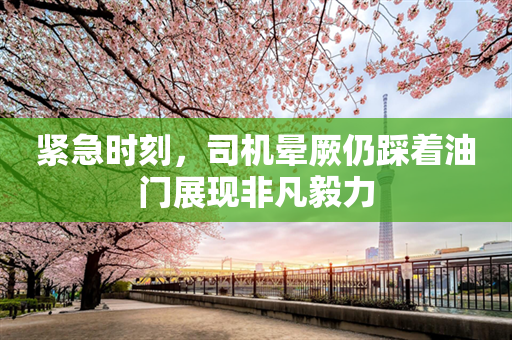 紧急时刻，司机晕厥仍踩着油门展现非凡毅力