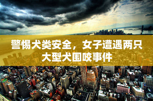 警惕犬类安全，女子遭遇两只大型犬围咬事件