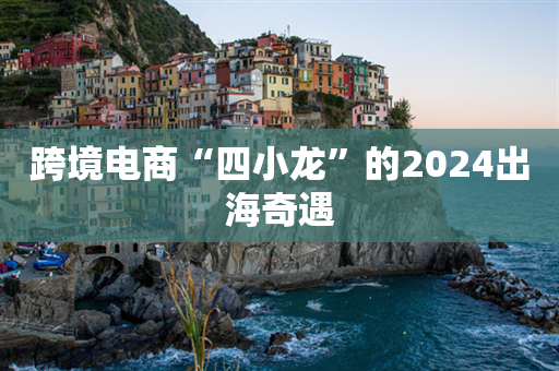 跨境电商“四小龙”的2024出海奇遇