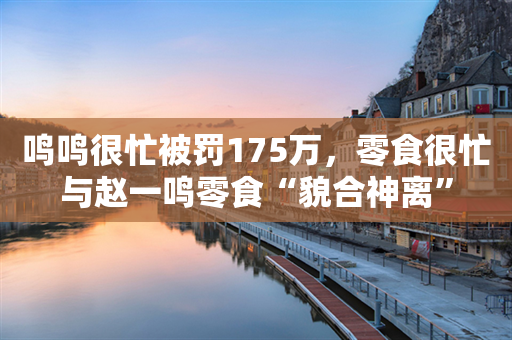 鸣鸣很忙被罚175万，零食很忙与赵一鸣零食“貌合神离”