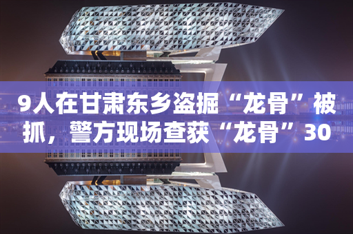 9人在甘肃东乡盗掘“龙骨”被抓，警方现场查获“龙骨”30余斤！法院判了