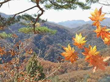 山西前首富涉赌被查，贪欲与赌局的破灭